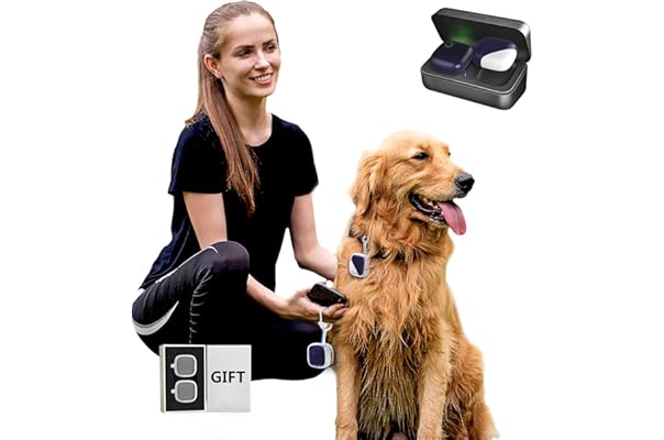 dog activity tracker with gps