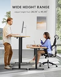 ErGear Height Adjustable Electric Standing Desk, 40