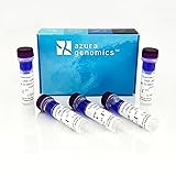 Azura PureView™ 1kb DNA Ladder 500 Lanes 5 x 500µl