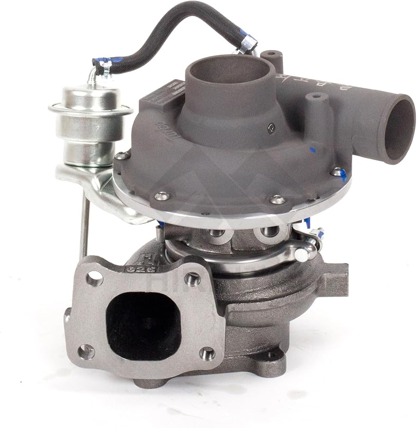 SHU様 確認用　5.8 catfish Leopard Jau Hybrid Catfish (Zungaro zungaro sp) – Predatory Fins