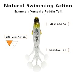 TRUSCEND Fishing Lures for Bass Trout Jighead Lures