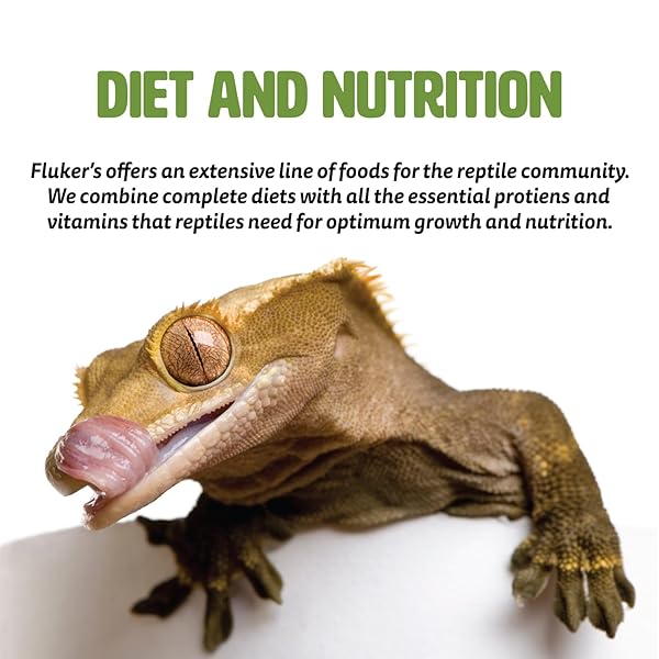 FLUKER’S AQUATIC TURTLE BUFFET BLEND FEEDING FRENZY STICKS, 6 OZ
