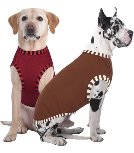 Amazon Merch Great Dane Sweatshirts Dog Sweater ARUNNERS Extra