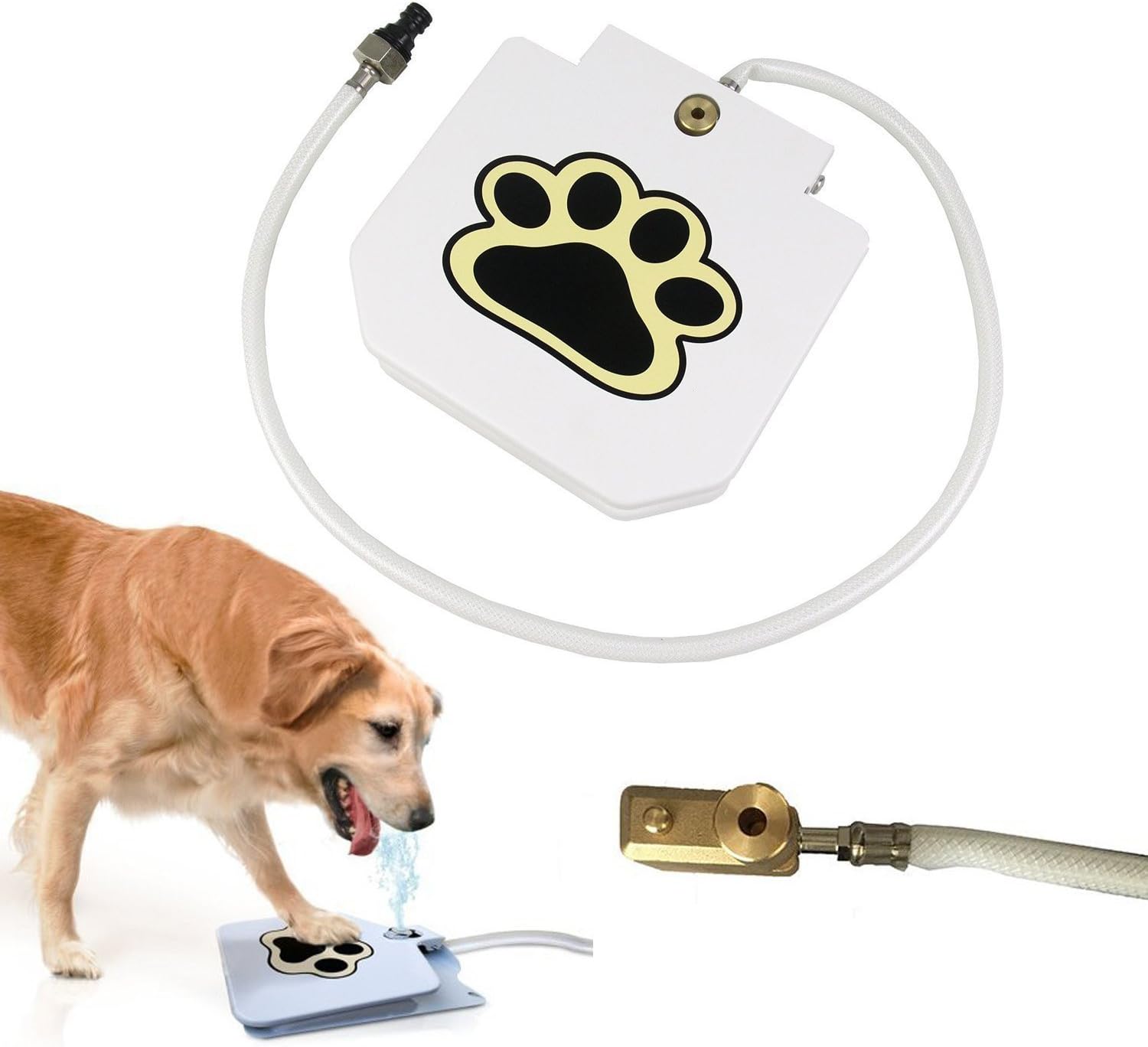 Pet Water Fountain for Dogs Upgraded Version Step On