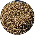Glorious Inheriting Retailed Natural and Fresh Tartary Buckwheat of General Size with Net Bag of 35.27oz
