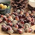 Onwon 100pcs Simulation Artificial Lifelike Small Acorn with Natural Acorn Cap for DIY Decoration Crafting Home House Kitchen Decor - Fake Fruit Props Acorns