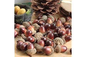 Onwon 100pcs Simulation Artificial Lifelike Small Acorn with Natural Acorn Cap for DIY Decoration Crafting Home House Kitchen Decor - Fake Fruit Props Acorns