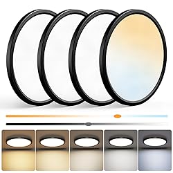 NIORSUN 12 inch Flush Mount LED Ceiling Light
