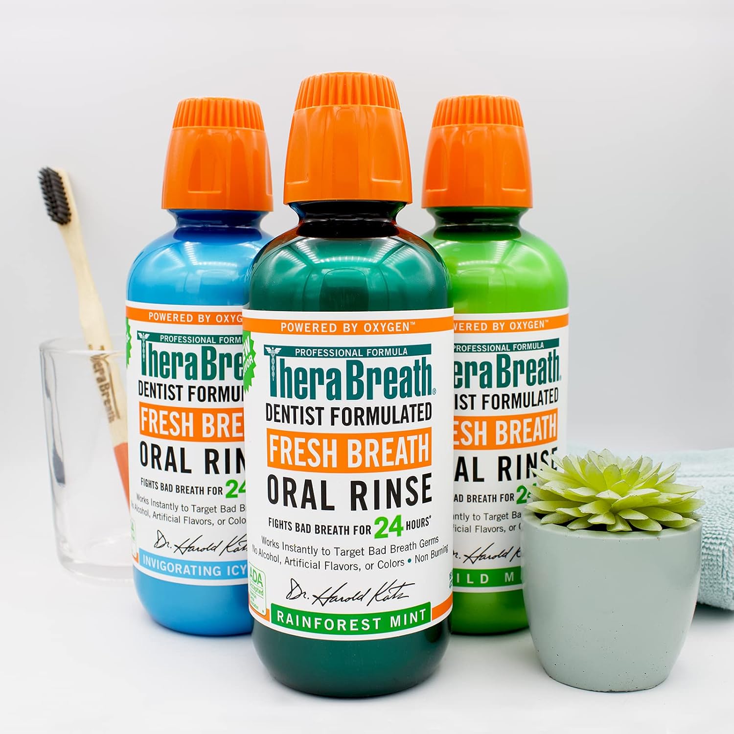 TheraBreath Fresh Breath, 24 Hour Dentist Formulated Oral Rinse, Rainforest Mint, 16 Fl Oz (Pack of 2): Health & Personal Care