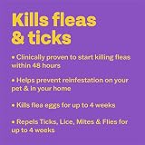 Bob Martin Clear Spot On Small Pets Flea Treatment 1 Pipette view 3