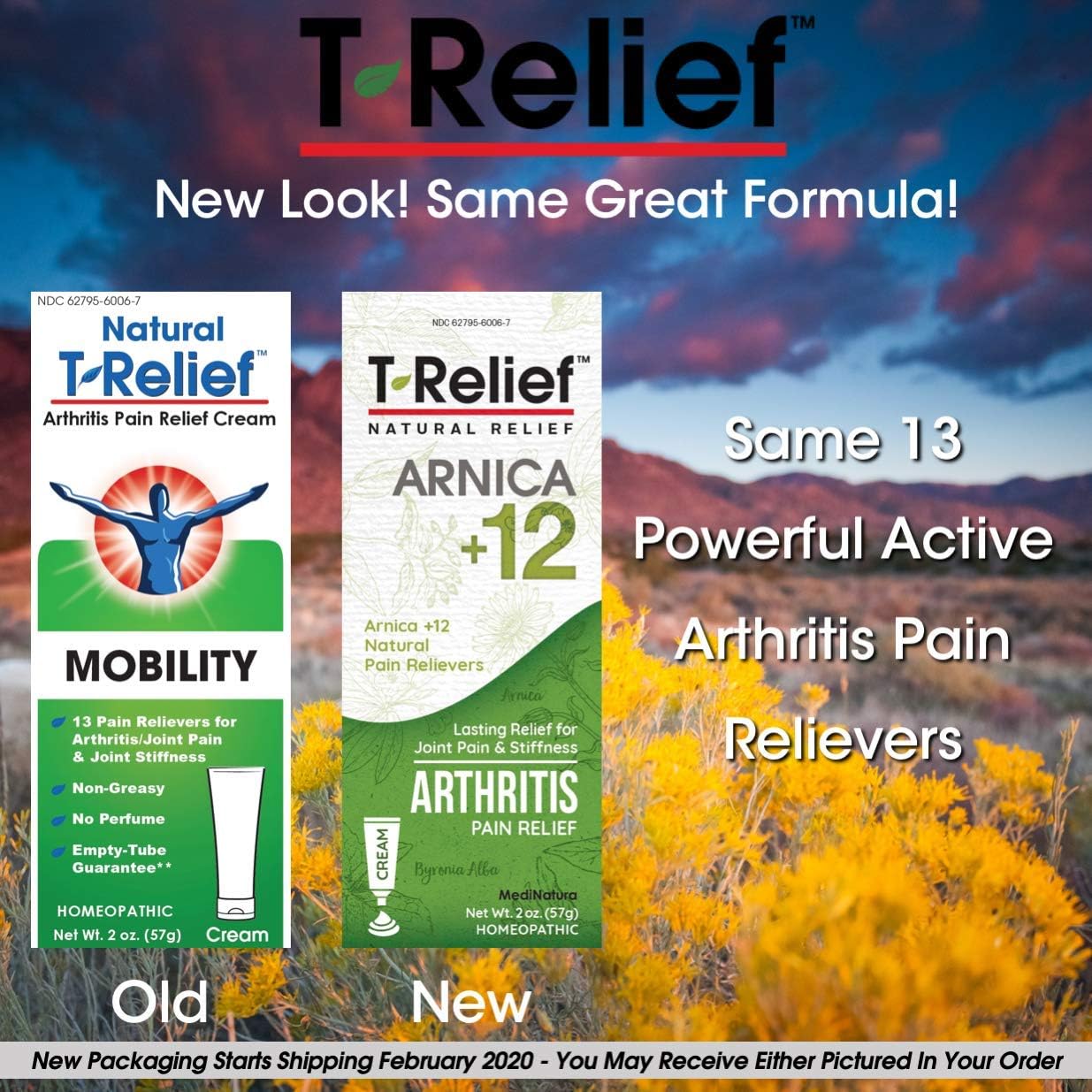 MediNatura T-Relief Arthritis Pain Relief with Arnica + 12 Active Pain Relievers- 2 oz Cream: Health & Personal Care