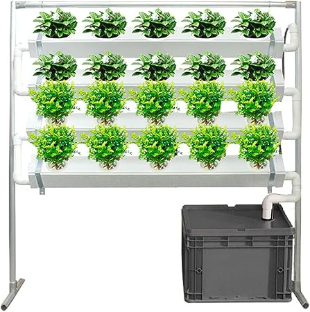 Kit Hidroponía Creciente Sistema De Jardinería De Interiores Flor