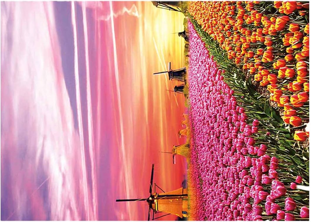 Thenxin Puzzles for Adults 1000 Pieces Micro-Sized Jigsaw Puzzles Challenging Fun Leisure Games Intellective Educational Toy City Landscape Painting DIY Art Home Decor,27.56 x 19.69 inch(C)