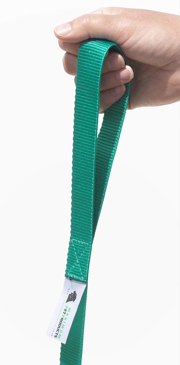 Maximum Pet Products Green Dog Training Lead 50ft/15m - Image 3