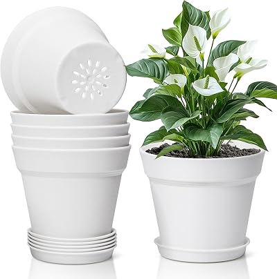 T4U 12.5cm Plastic Plant Pots 6-Pack with Saucer White Indoor Outdoor