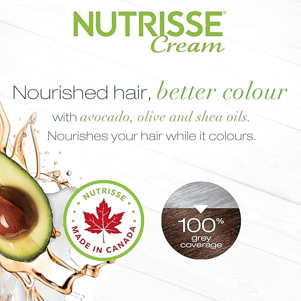 GARNIER NUTRISSE HAIRCOLOR – 73 HONEYDIP (DARK GOLDEN BLONDE) 1 EACH