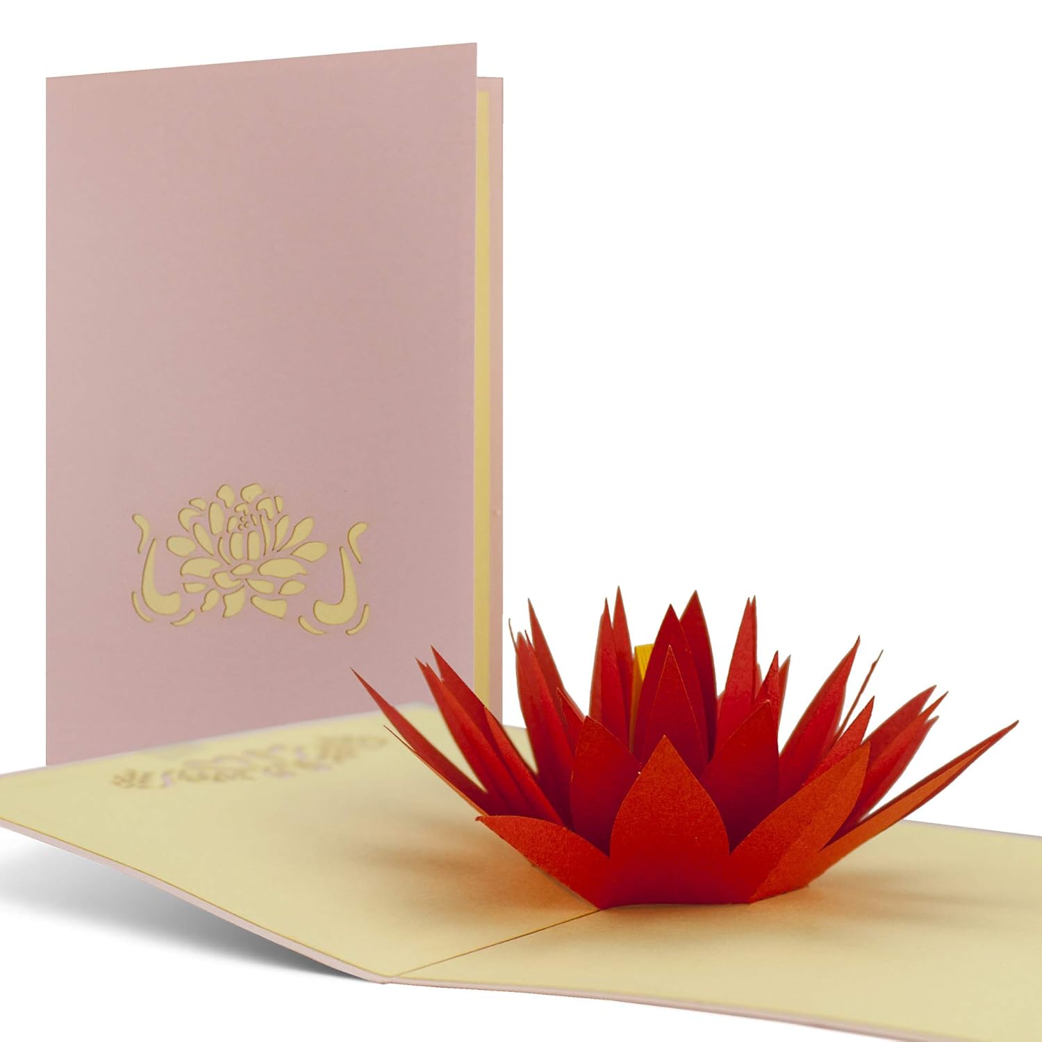 Nenuphar En Papier Comme Une Carte Pop Up Beau Cadeau Et De Bon Bon Pour Yoga Ou Une Meditation De Voyage Convient F03 Loisirs Creatifs Cuisine Maison Bhattbros Com