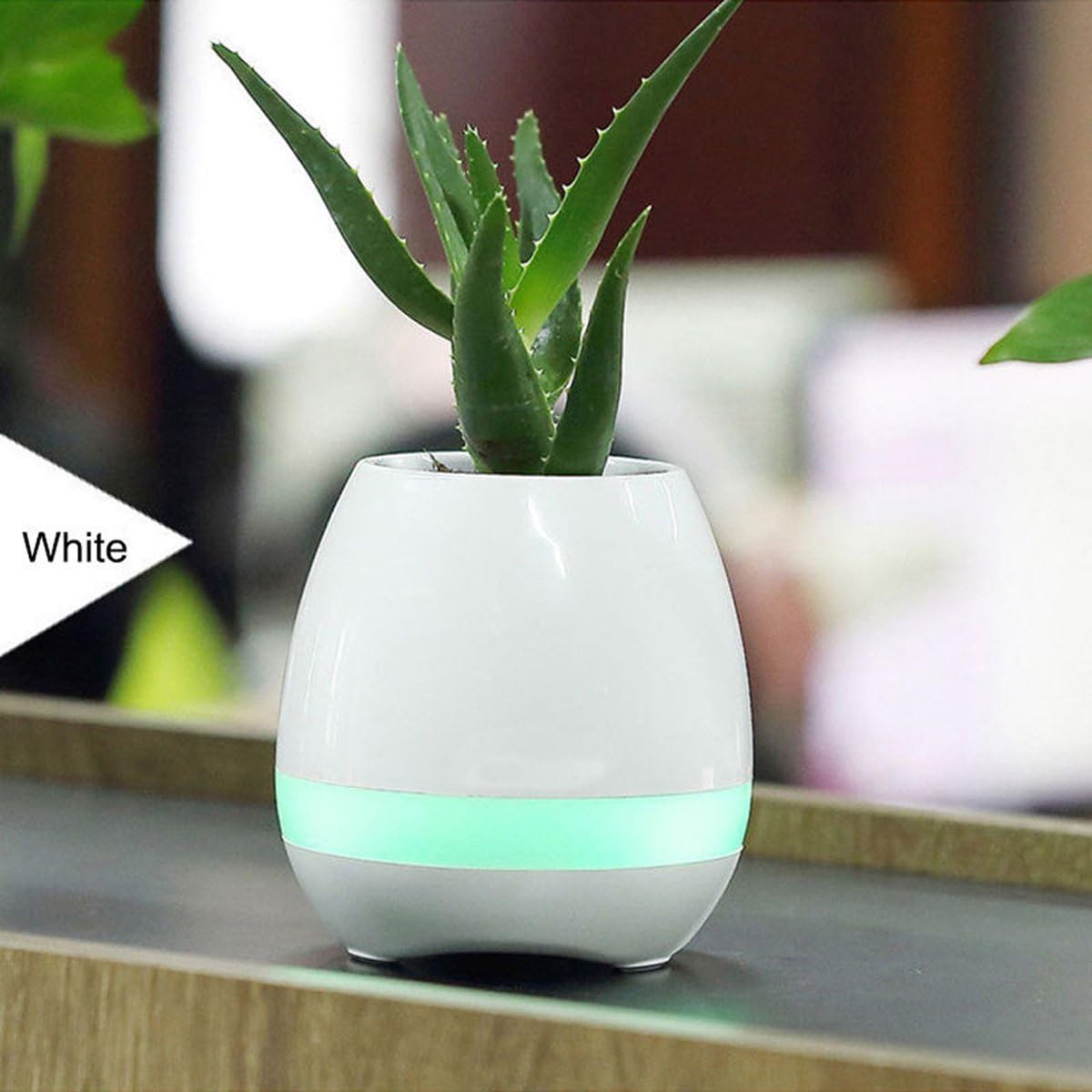 musical pot with bluetooth speaker