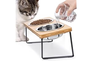 LOPLUREA Cat Food Bowl for Indoor Cats - Elevated Stainless Steel Water Bowl, Tilted Raised Kitten Dish Set for Whisker Friendly and Anti Vomit, Feeding Station for Puppy and Pet