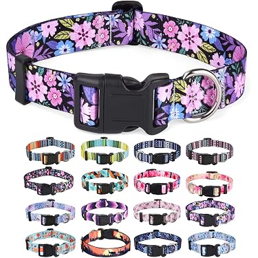 Collar Y Correa Para Perro De Nylon Colorido, Ajustable 40-52cm, Con Hebillas De Metal Y Diseño Especial
