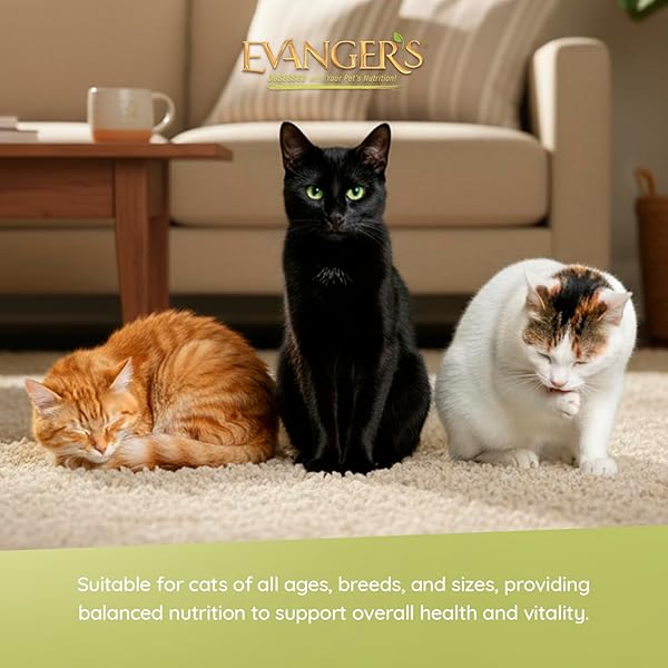 EVANGER’S HERITAGE CLASSICS GOIN’ FISHIN’ DINNER FOR CATS – 12 COUNT, 12.5 OZ EACH – OCEAN FISH & MEAT BLEND, GRAIN FREE, LIMITED INGREDIENTS, TRADITIONAL LOAF STYLE