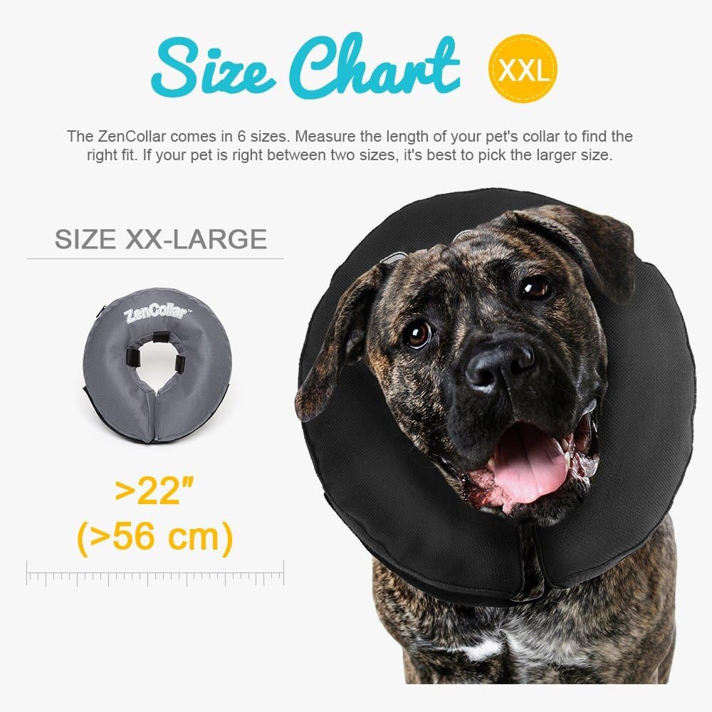zen collar for dogs