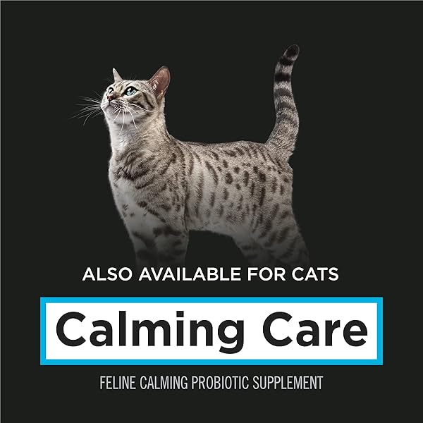 PURINA PRO PLAN VETERINARY SUPPLEMENTS CALMING CARE – CALMING DOG SUPPLEMENTS – 30 CT. BOXES