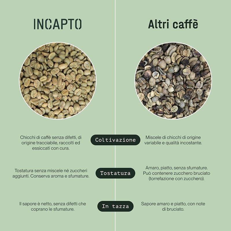 Caffè in Grani di Specialità 1kg | Origine Colombia | 100% Arabica | +80 punti SCA | Tostatura Naturale e Artigianale | Caffè Grani Naturale | Finca Huila, Cadifihuila