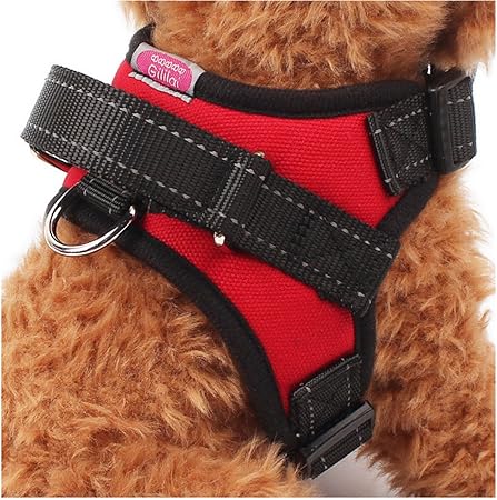 best training harness