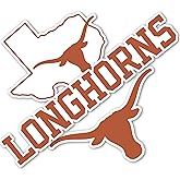 Desert Cactus University of Texas Sticker Longhorns UT Austin Vinyl Decals Laptop Water Bottle Car Scrapbook T5 (Type 5-1)