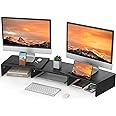 LORYERGO Dual Monitor Stand for 2 monitors, Monitor Stand for Desk, Monitor Riser with Storage, Computer Monitor Stand w/Slot for Tablet Cellphone, Dual Monitor Riser for PC, Laptop, Computer, Printer