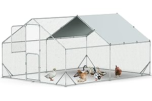 HOLYMUSS Walk in Metal Chicken Coop, Upgrade Double Door-Easy Feed Large Chicken Run, 6.6 FT Added Height Chicken Pen Outdoor Waterproof for 15 Chickens,Rabbits