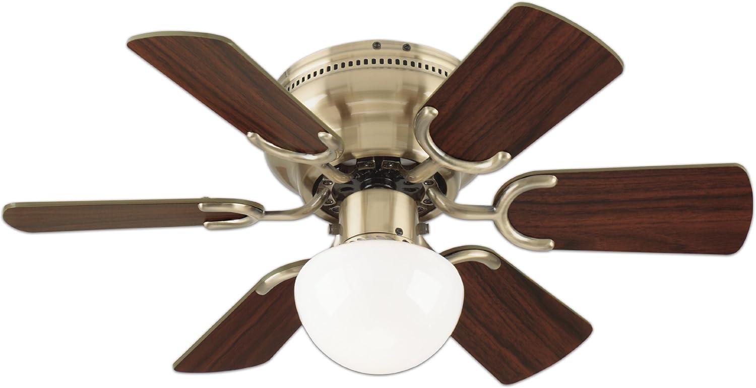 Westinghouse Lighting 78603 Petite 6 Blade 30 Inch 3 Speed Hugger