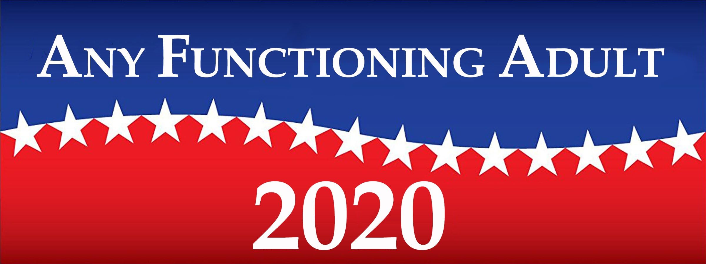 Any Functioning Adult 2020 - Car and Truck Magnet 8" x 3"