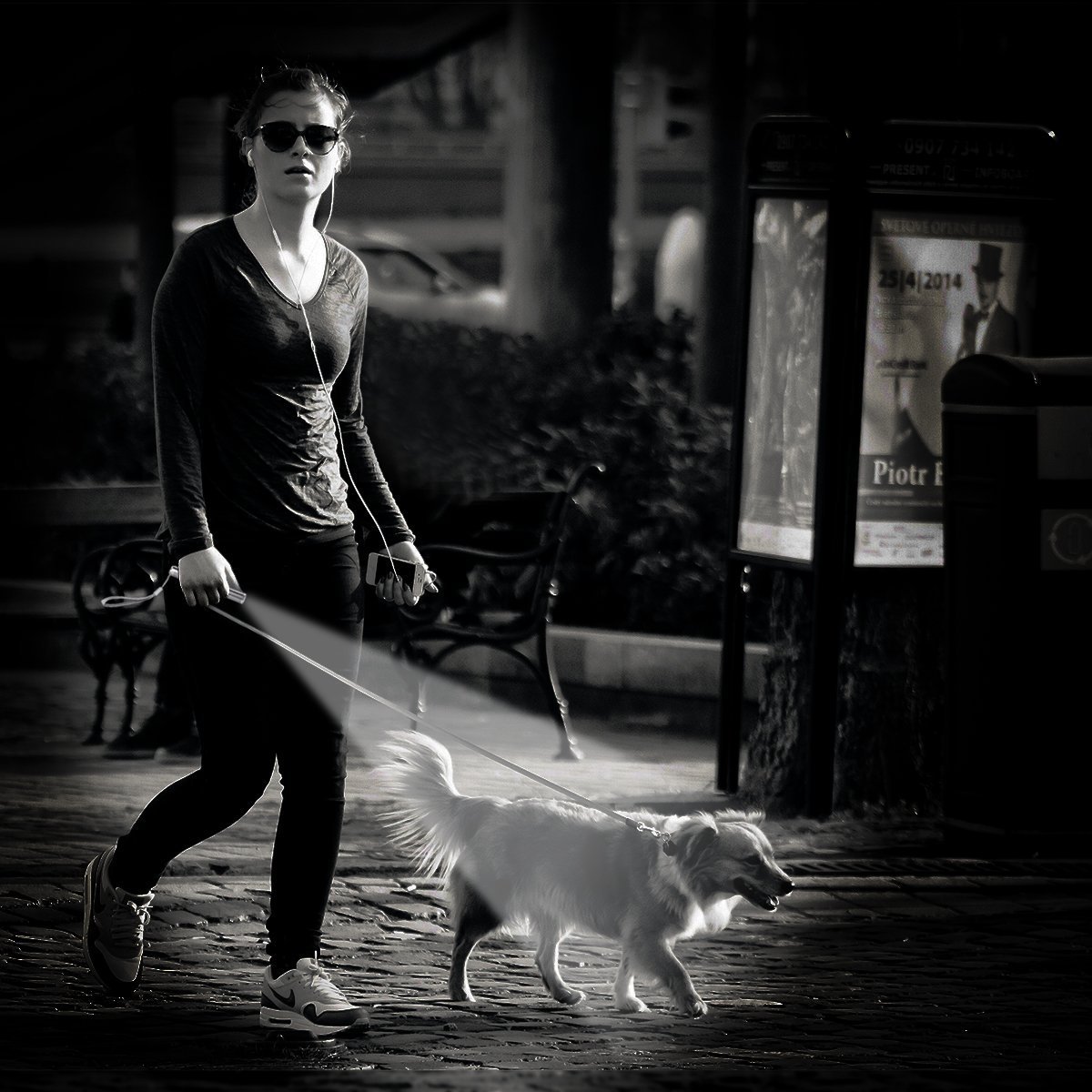 Leoking Cat Chaser Toy - LED Pet Interactive Exercise Pointer Training Pen for Dogs