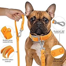 Wisedog Waterproof Standard Dog Leashes with 2