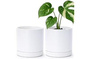 D'vine Dev Set of 2 Plants Pots, 6.5 Inch Ceramic Planter Pot for Plants with Drainage Hole and Saucer, White, 94-V-C-1