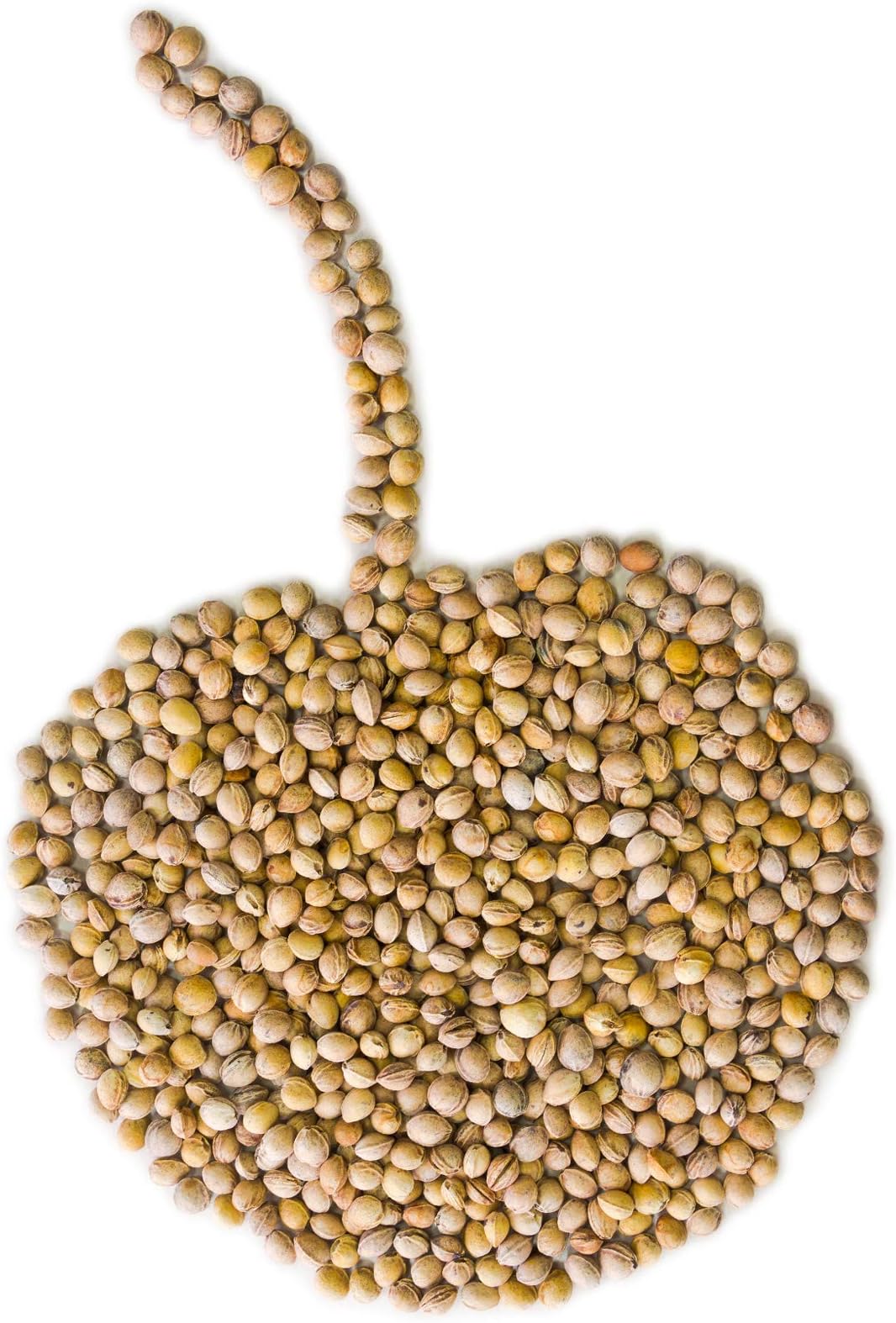 Cherry Stones 10 Kg Free Delivery within Germany