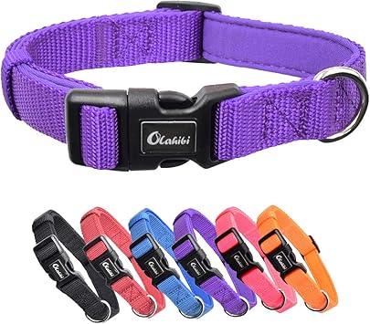 dog leads amazon uk