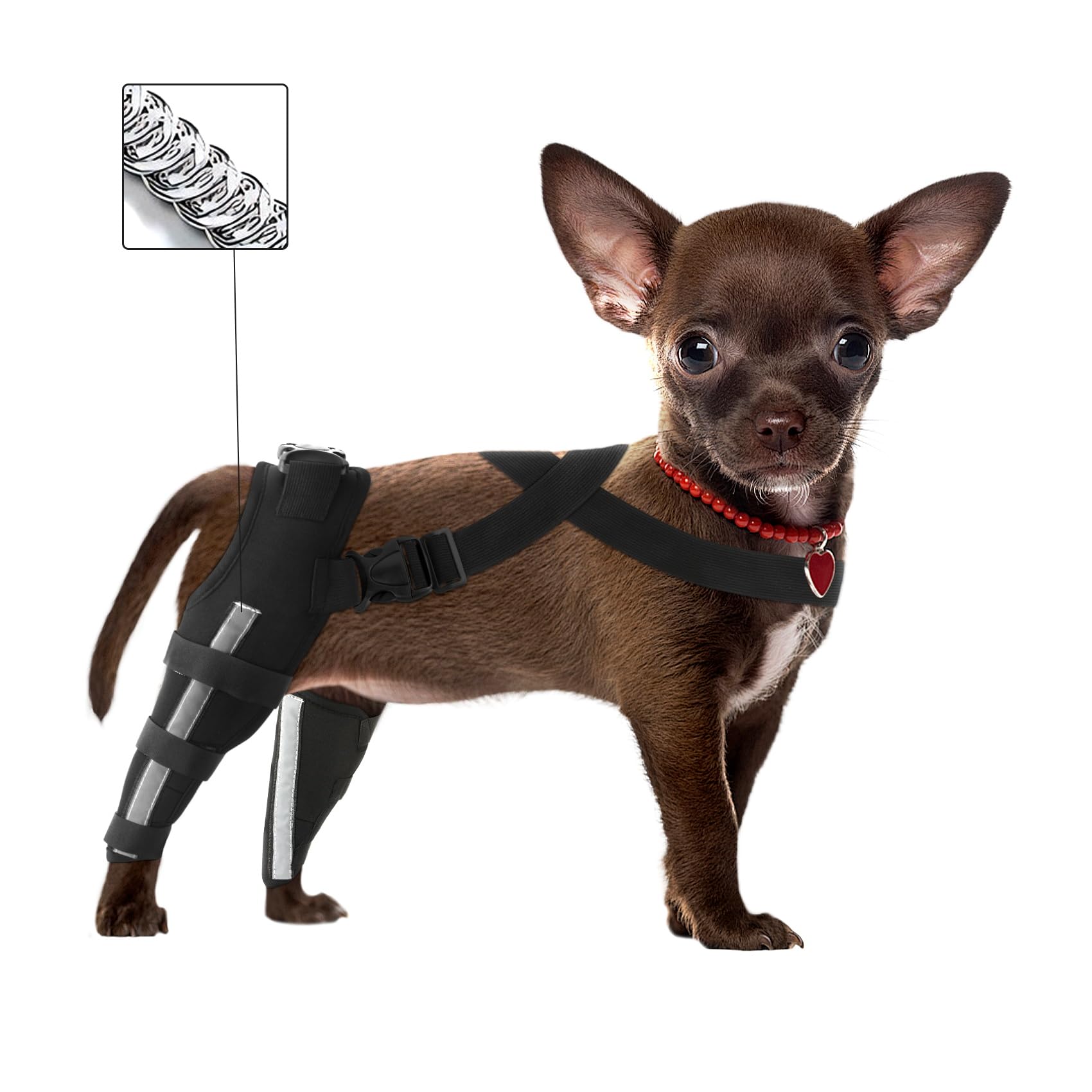 Photo 1 of MROUEN Double Dog Leg Braces for Back Leg for Support,Double Dog Knee Brace for Torn Acl Hind Leg,Dog Acl Brace Hind Leg,Dog Brace for Acl Tear Back Leg,Knee Brace for Dogs Back Leg,Extra Small