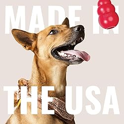 KONG Classic Stuffable Dog Toy - Fetch & Chew Toy