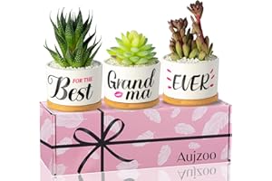 Aujzoo Grandma Gifts, Best Grandma Ever for Chirstmas Day Mother's Day Birthday Gift, Creative Present Gifts for Grandma Gigi Nana, Garden Decor Planter Succulent Pots