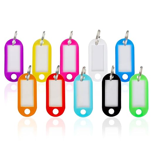 WINTEX® Schlüsselschilder 100 Stück – mit auswechselbarem Etikett, witterungsbeständig – Schlüsselanhänger, Schlüsselbeschrif