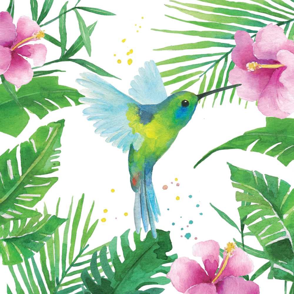 Paperproducts Design PPD 1332706 Tropical Hummingbird Lunch Paper Napkins, 6.5" x 6.5", Multicolor