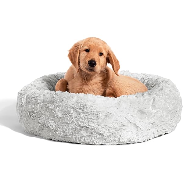 Snoozer Wheel Around 4In1 Pet Travel Carrier Red Black 並行輸入品 実物