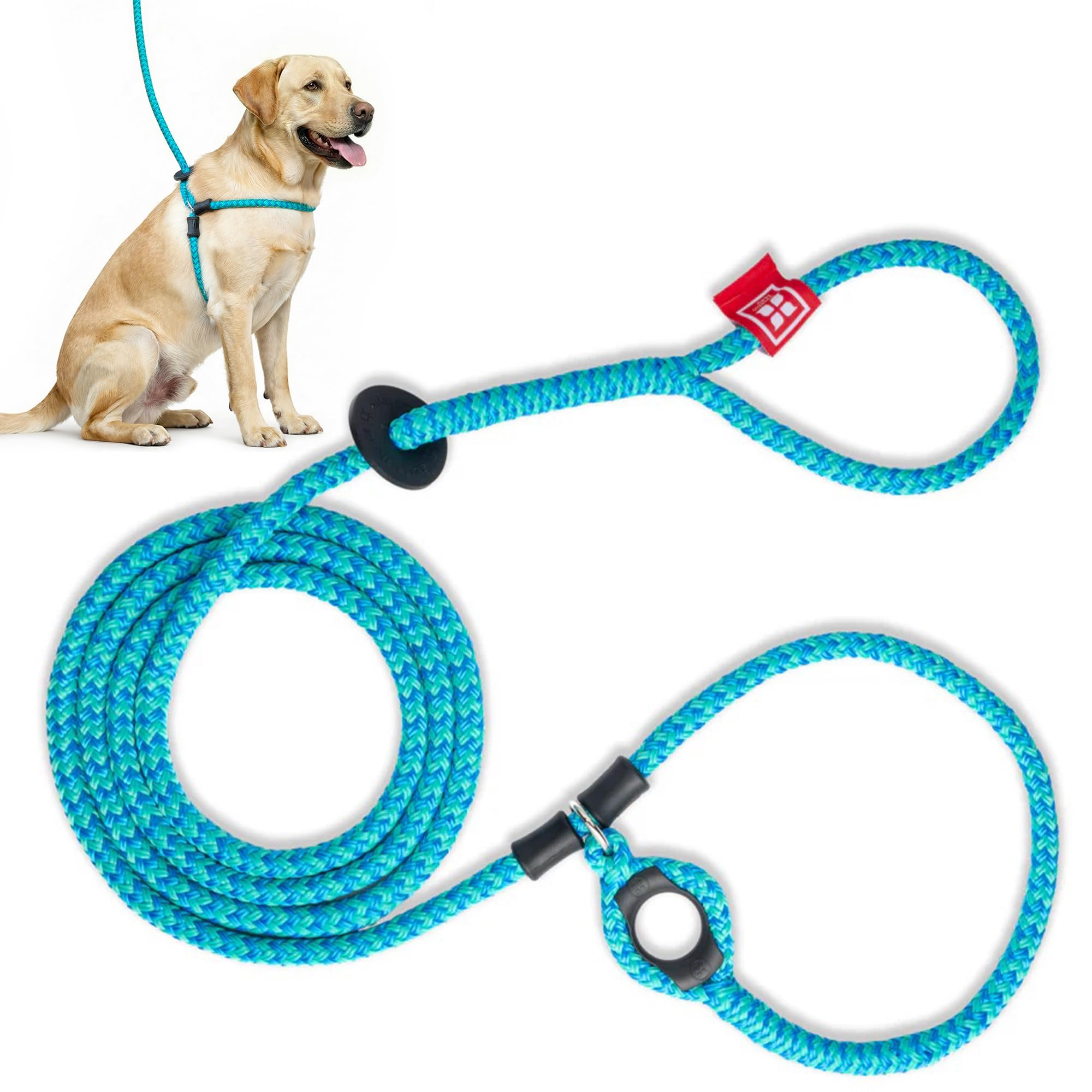 Harness Lead Leash, Medium/Large, Blue — image 1