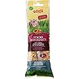 Living World 60661 Hamster Fruit Treat Sticks, 4-Ounce