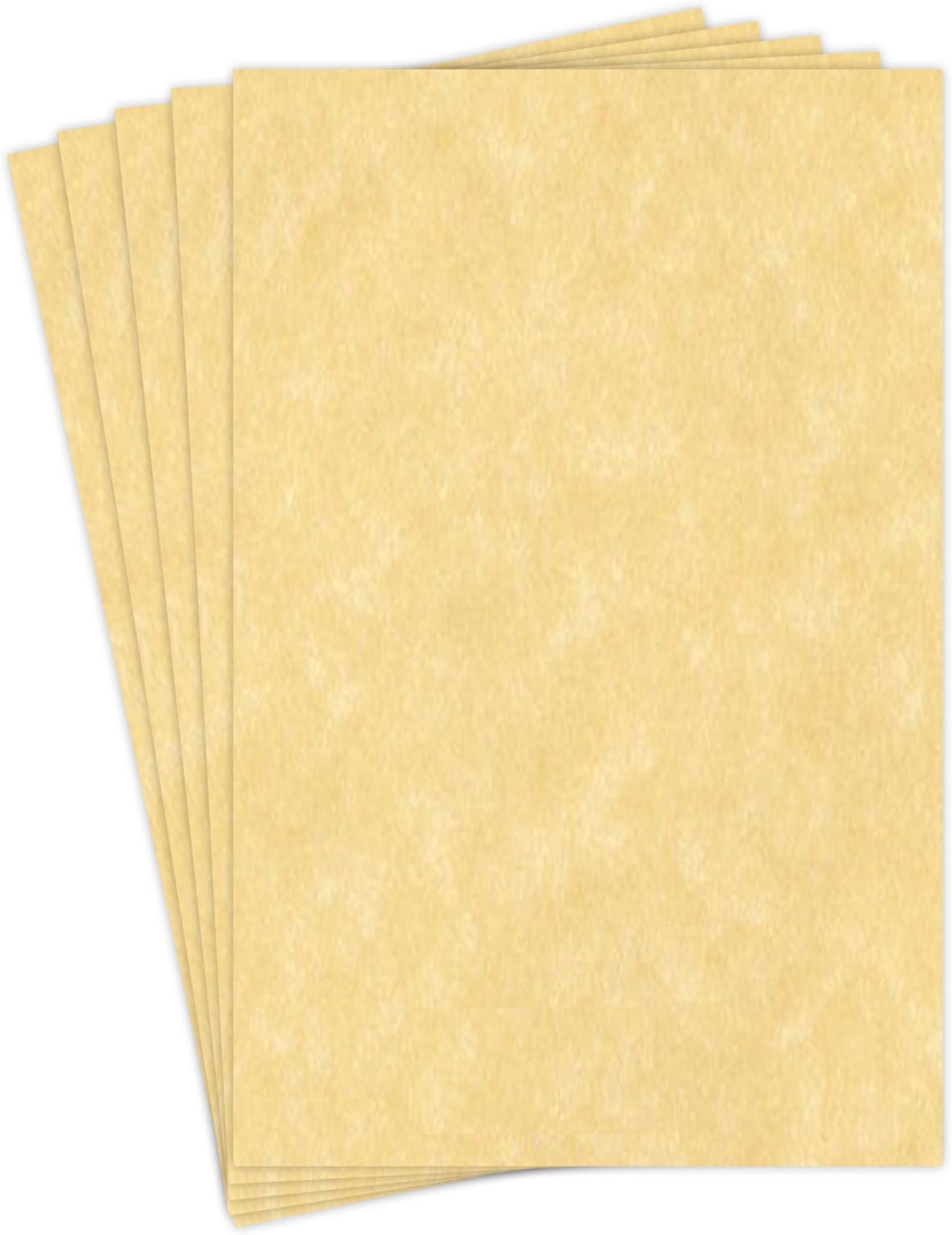 Stationery Parchment Card Stock Nice Paper, 65lb Cover Cardstock, 11" x 17" inches, 50 Sheets per Pack (New Champagne)