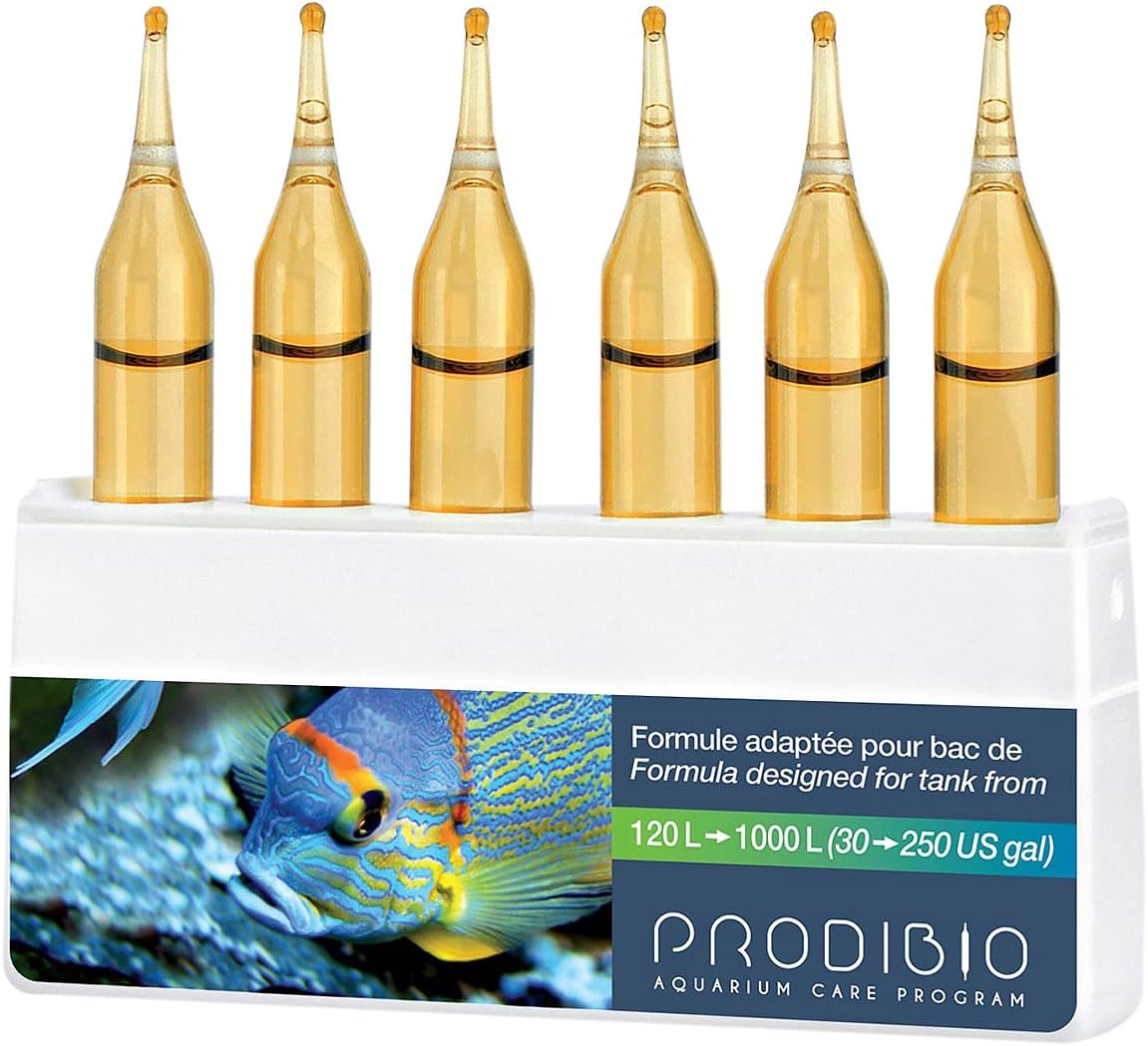 ProdibioStop Ammo, 6 Vials