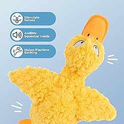Best Pet Supplies Interactive Squeaky Dog Chew